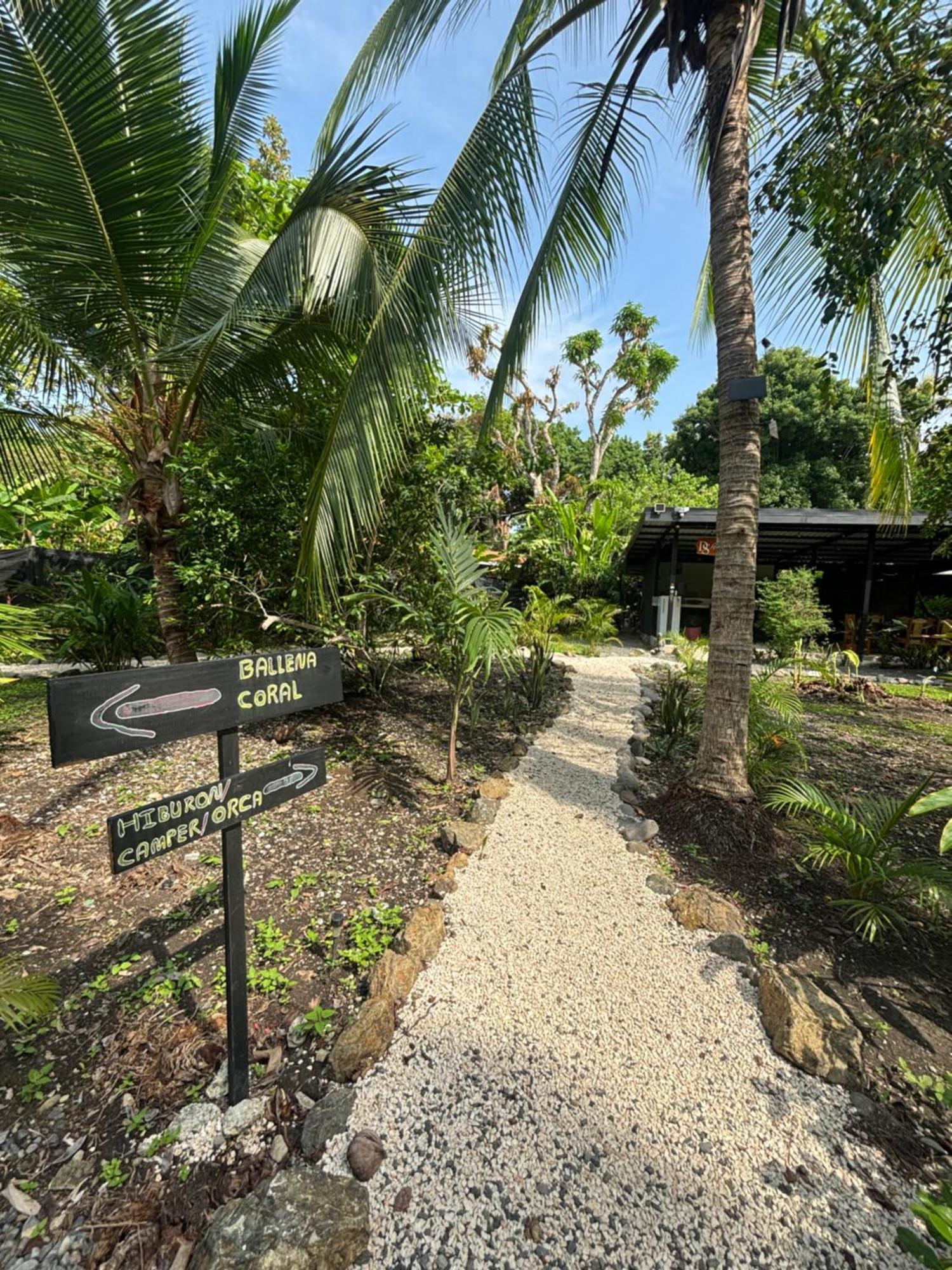 Отель Ds House Cabuya  Экстерьер фото