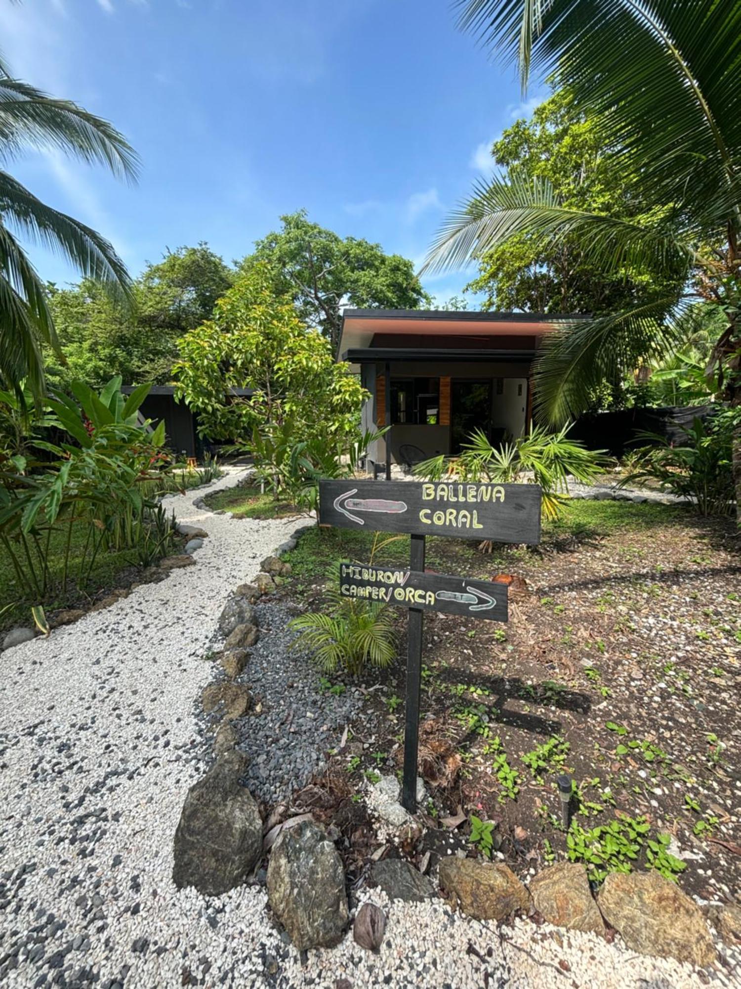 Отель Ds House Cabuya  Экстерьер фото